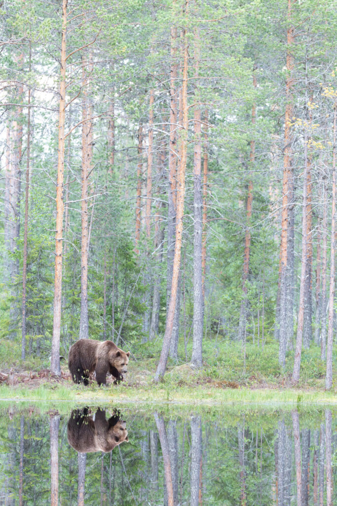 Finnland184